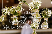 Josefina • Bonus Elements •, a Script Font by Creamy Script (Thumbnail 4 of 7)