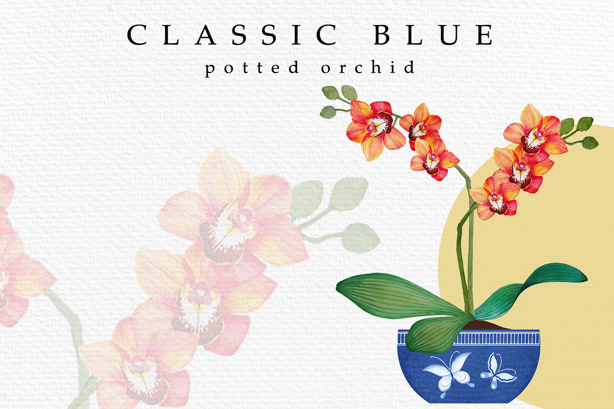 Classic Blue, an Illustration by Dana Designs (Photo 7 of 11)