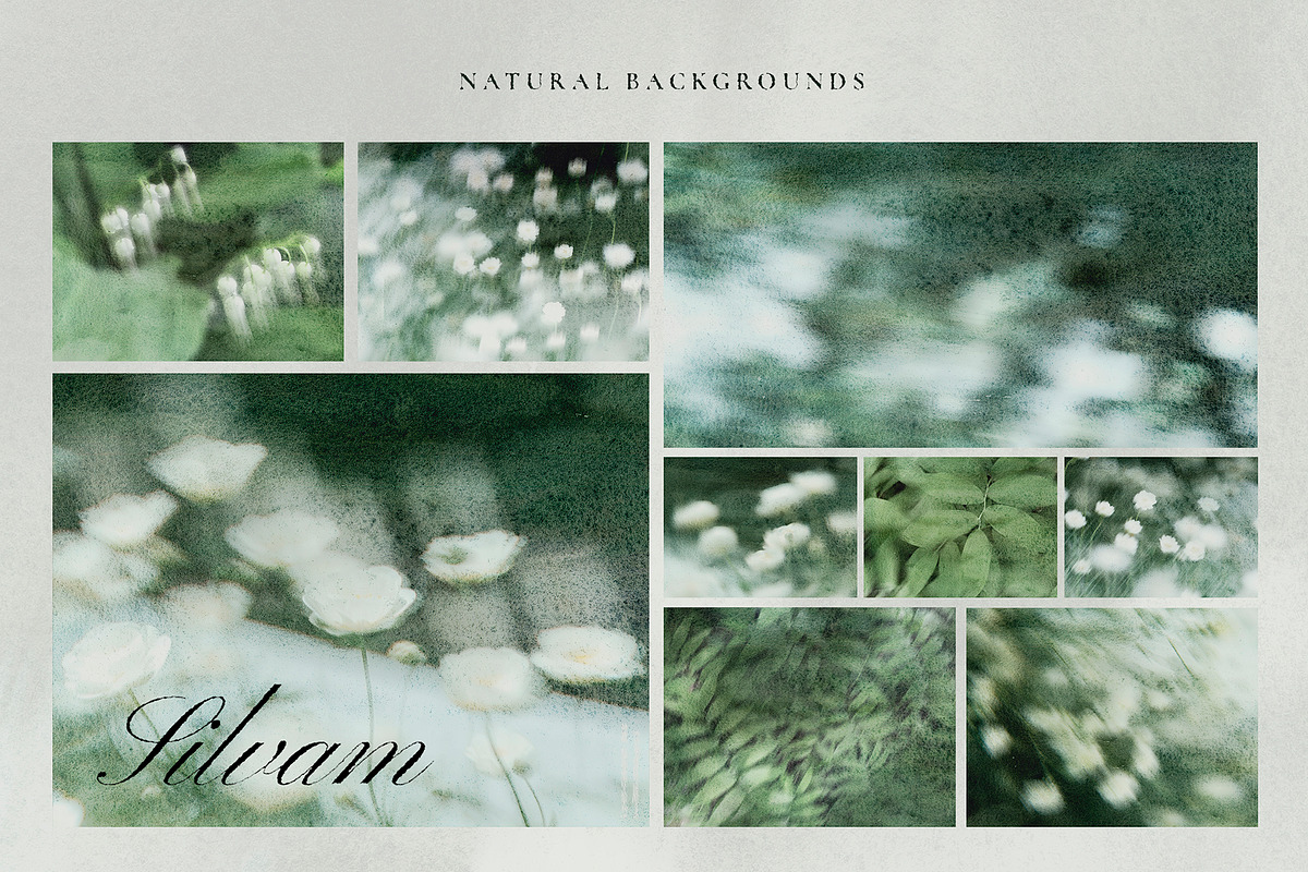 Silvam - Natural Backgrounds, a Background Graphic by Watercolor_Ma (Photo 8 of 9)