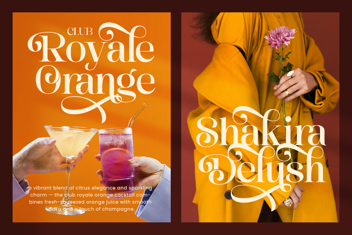 Dashling - Bold Modern Stylish Serif, a Serif Font by Shakira Studio (Photo 3 of 10)
