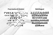 Goldtext - Versatile Bold Serif, a Serif Font by Attractype (Thumbnail 8 of 8)