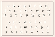 Onteal - Serif Display Ligature Font, a Serif Font by Vesvocrea (Thumbnail 6 of 9)