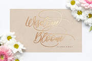 Shakeglow script, a Script Font by Alandya TypeFoundry (Thumbnail 5 of 7)
