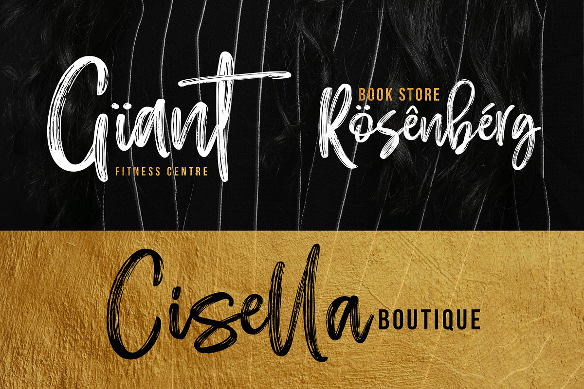 EFRISILLA - Handbrush Script preview 4