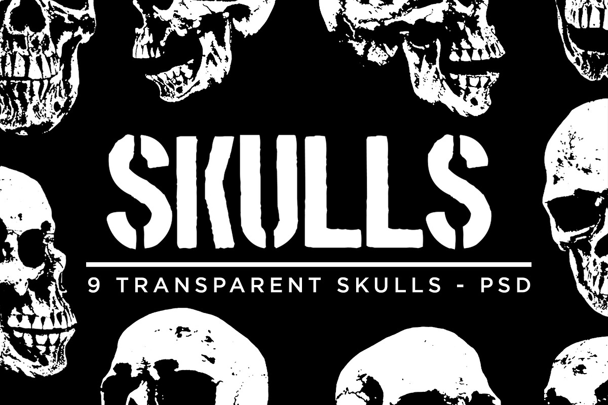 SKULLS, an Illustration by 1126artstudio (Photo 1 of 4)