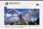 Simple Catch Pro, a WordPress Template by Catch Themes (Thumbnail 1 of 3)
