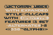 Valerins, a Symbol Font by Nathatype (Thumbnail 3 of 15)