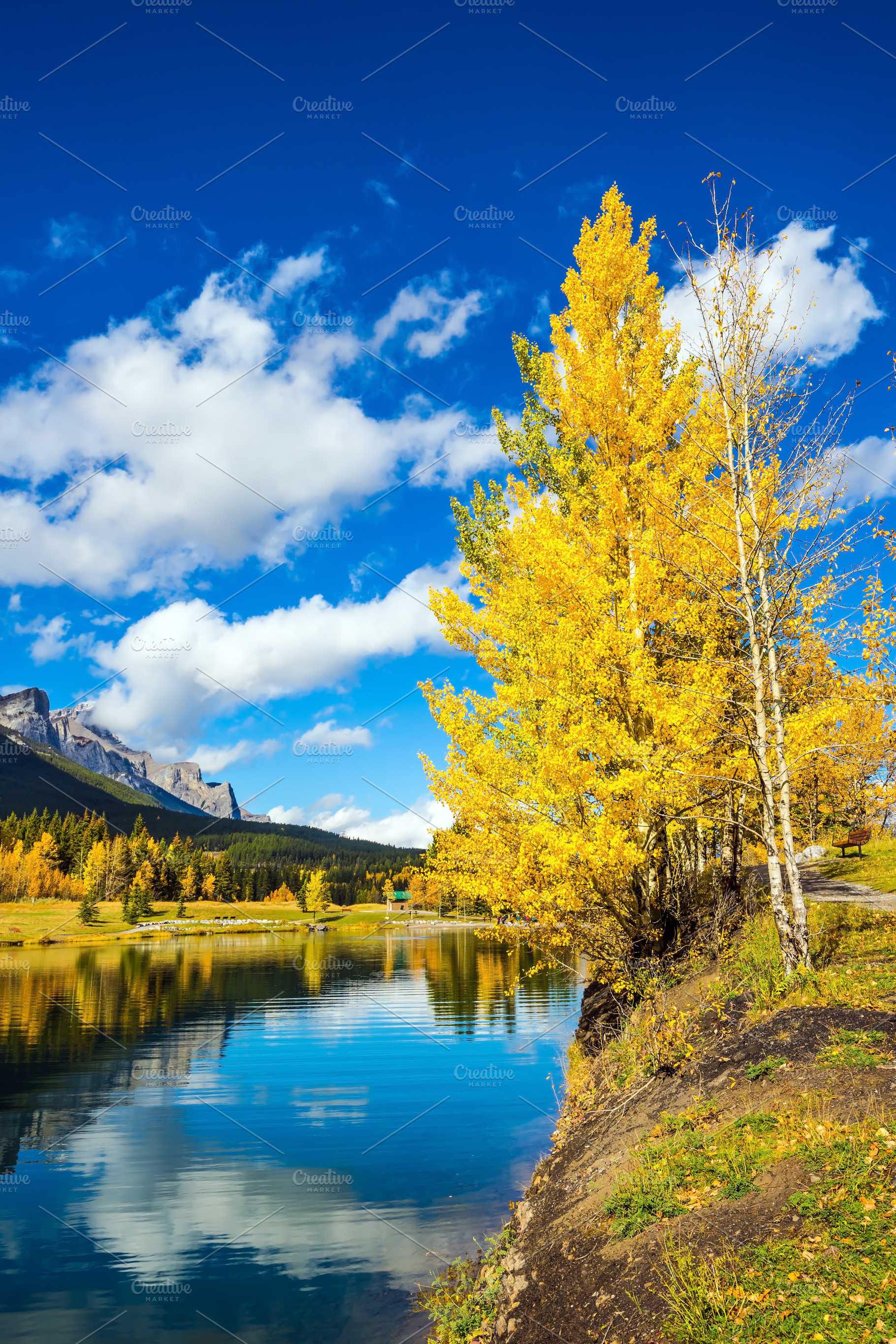 Yellowing aspens surround the lake, a Nature Photo by kavram
