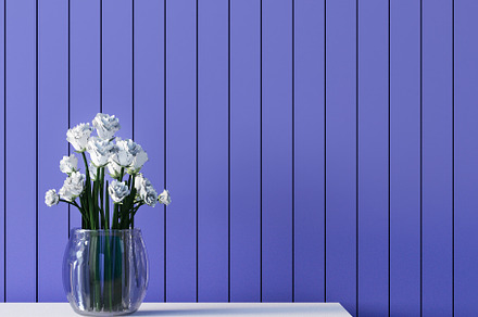 Purple Blue wall color interior 2022, a Nature Photo by TONTECTONIX