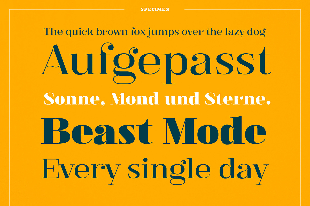 XXII Elissa, a Serif Font by Doubletwo Studios (Photo 2 of 25)