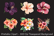 Hibiscus Flower Watercolor ClipArt's, an Illustration by RobertsArt (Thumbnail 5 of 7)