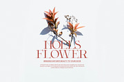 Foste - Elegant Serif Font, a Serif Font by Graphicxell (Thumbnail 7 of 8)
