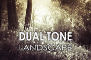 25 Dual Tone Landscape Presets, a Preset Add-On by Timeless Presets (Thumbnail 1 of 10)