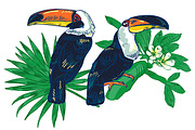 TOUCAN, an Animal Illustration by Tanya Akhmett (Thumbnail 5 of 11)