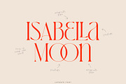 Lafonte Font, a Serif Font by vuuuds (Thumbnail 5 of 13)