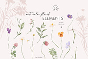 FIELD watercolor wildflowers, a Decorative Illustration by Yuliia Lashevska (Thumbnail 12 of 13)
