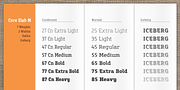 Core Slab M, a Slab Serif Font by S-Core (Thumbnail 3 of 5)