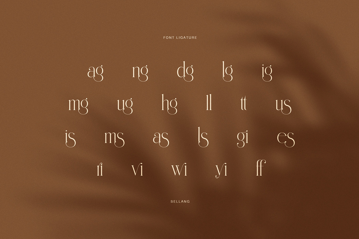 Sellang Elegant Serif Font, a Serif Font by Perfectype (Photo 8 of 8)