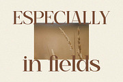Begilas Modern Serif Font, a Serif Font by Storytype Studio (Thumbnail 10 of 14)