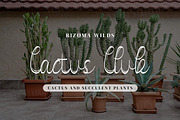Vanadoora Script Fonts, a Script Font by mahstudios (Thumbnail 9 of 15)