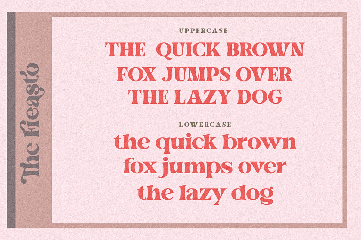 Fieasto, a Serif Font by Dora Typefoundry (Photo 13 of 18)
