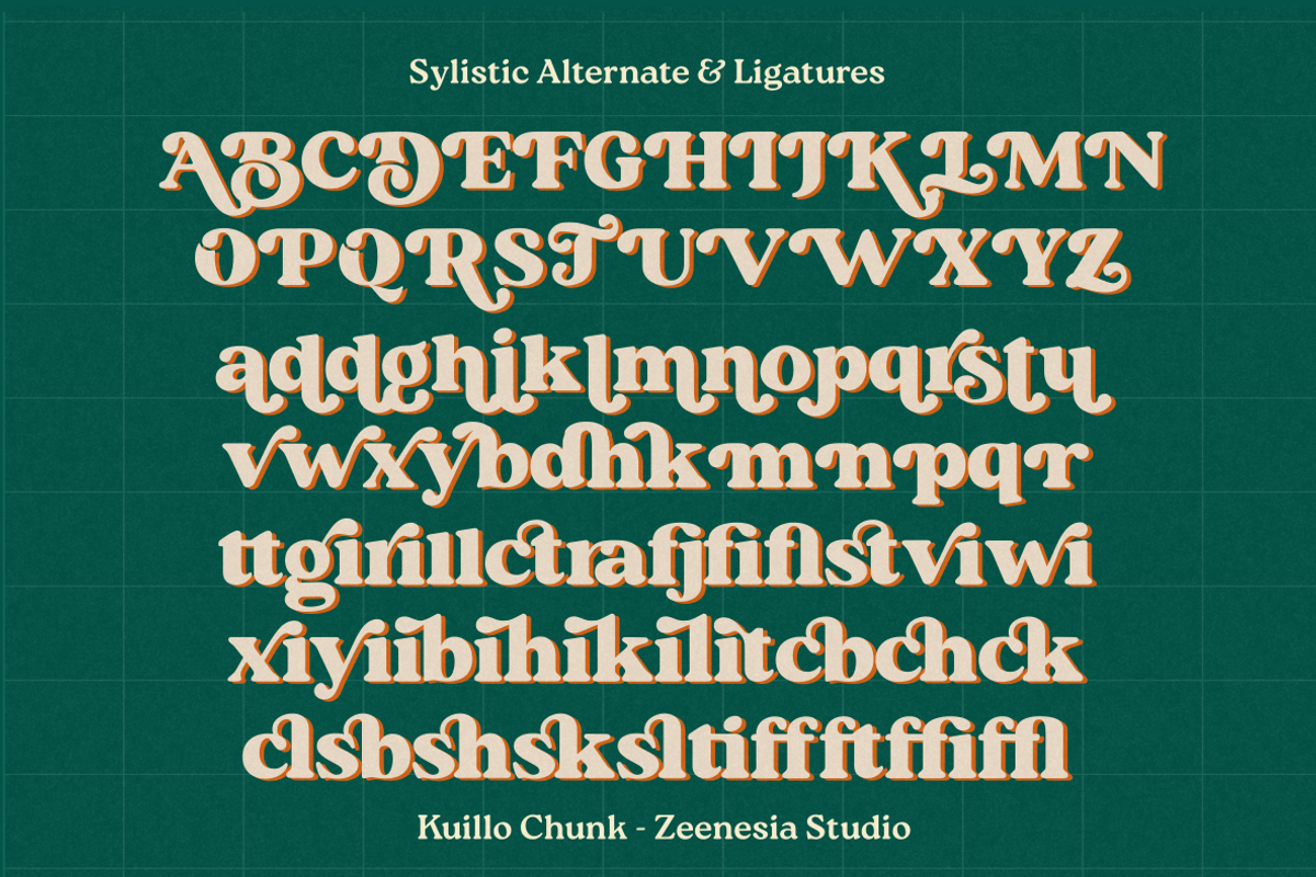 Kuillo Chunk, a Serif Font by zeenesia (Photo 19 of 19)