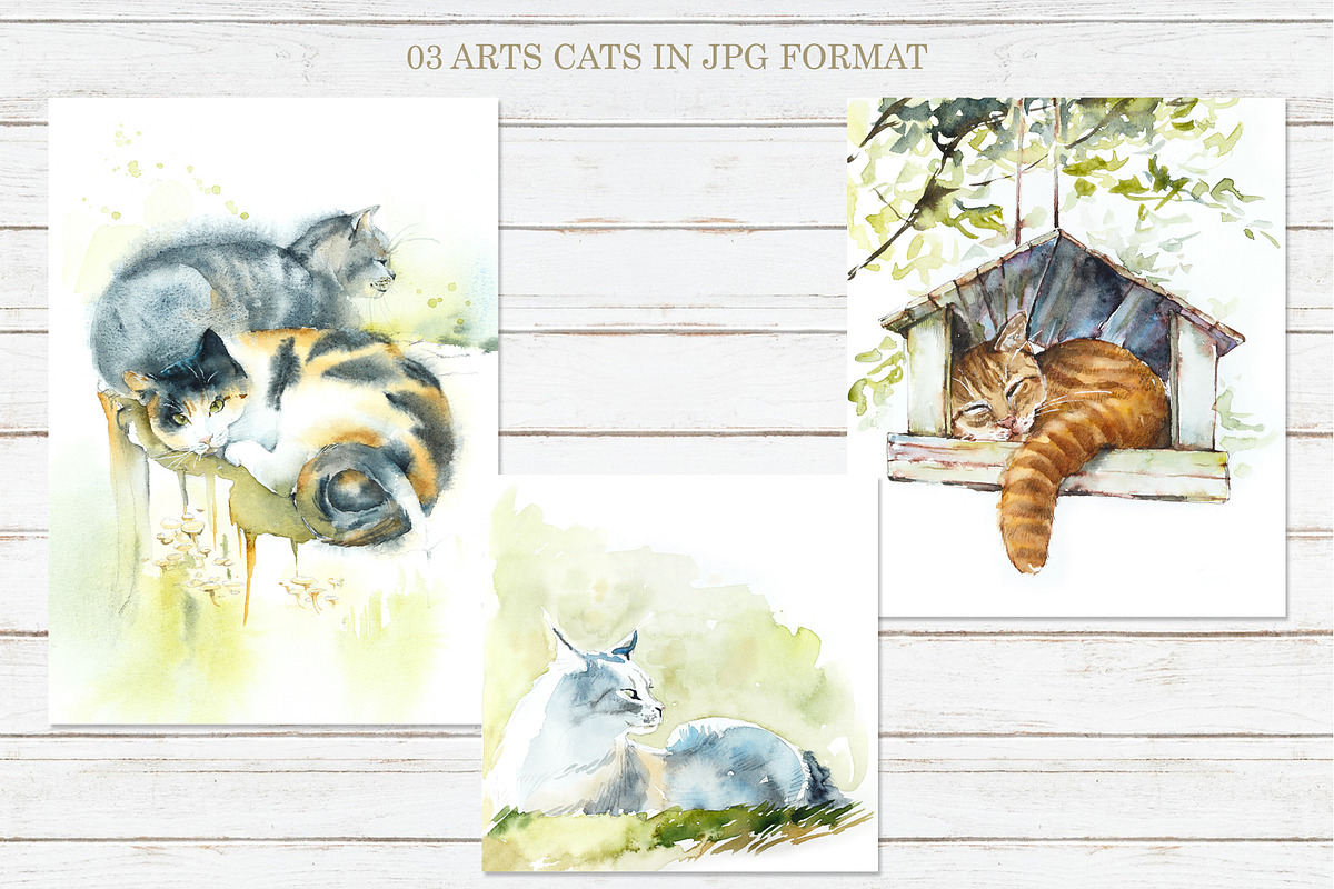Street Cats, an Animal Illustration by Budogoshch (Photo 5 of 6)