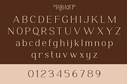 ROAST - Decorative Display Serif, a Serif Font by Konstantine Studio (Thumbnail 10 of 10)