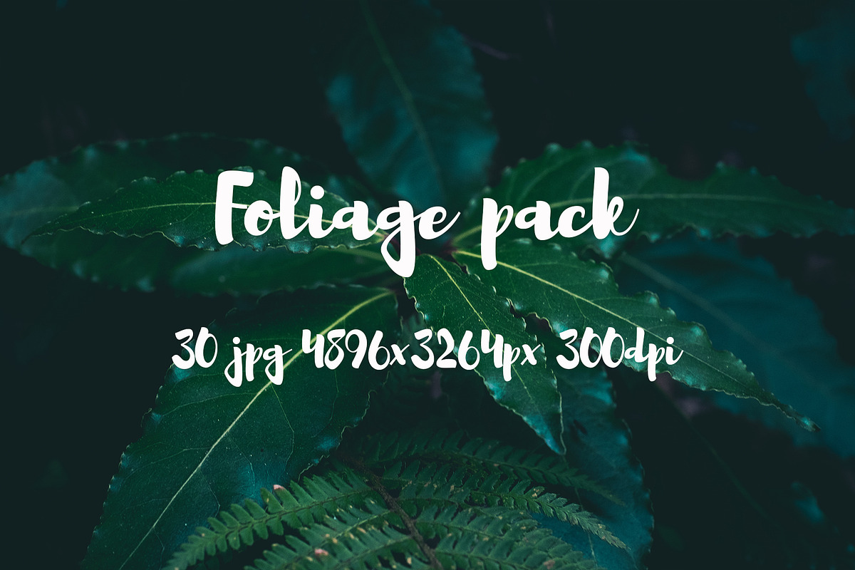 Foliage pack, a Templates & Theme by ApertureVintage (Photo 19 of 21)