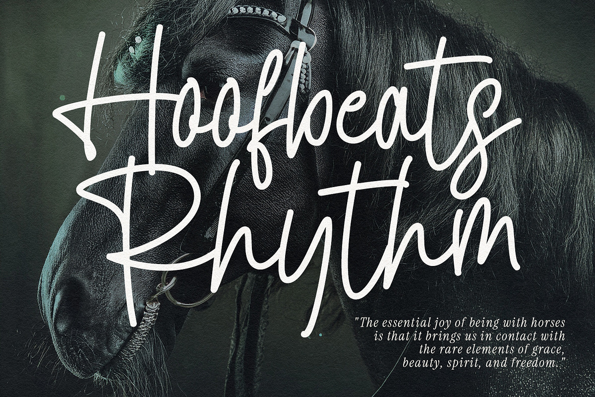 Haqutian Monoline Casual Signature, a Script Font by Maulana Creative (Photo 2 of 7)