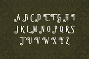 Gastronomy Modern Vintage Serif Font, a Serif Font by UICreative (Thumbnail 3 of 14)
