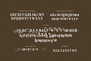 Hakinge - Elegant Serif Font, a Serif Font by TypeLogue (Thumbnail 4 of 5)