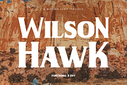 Wilson Hawk - Modern Serif Typeface, a Serif Font by overlaytemplates (Thumbnail 1 of 6)