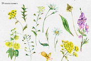 Watercolor meadow herbs&flowers, an Illustration by Depiano (Thumbnail 3 of 19)