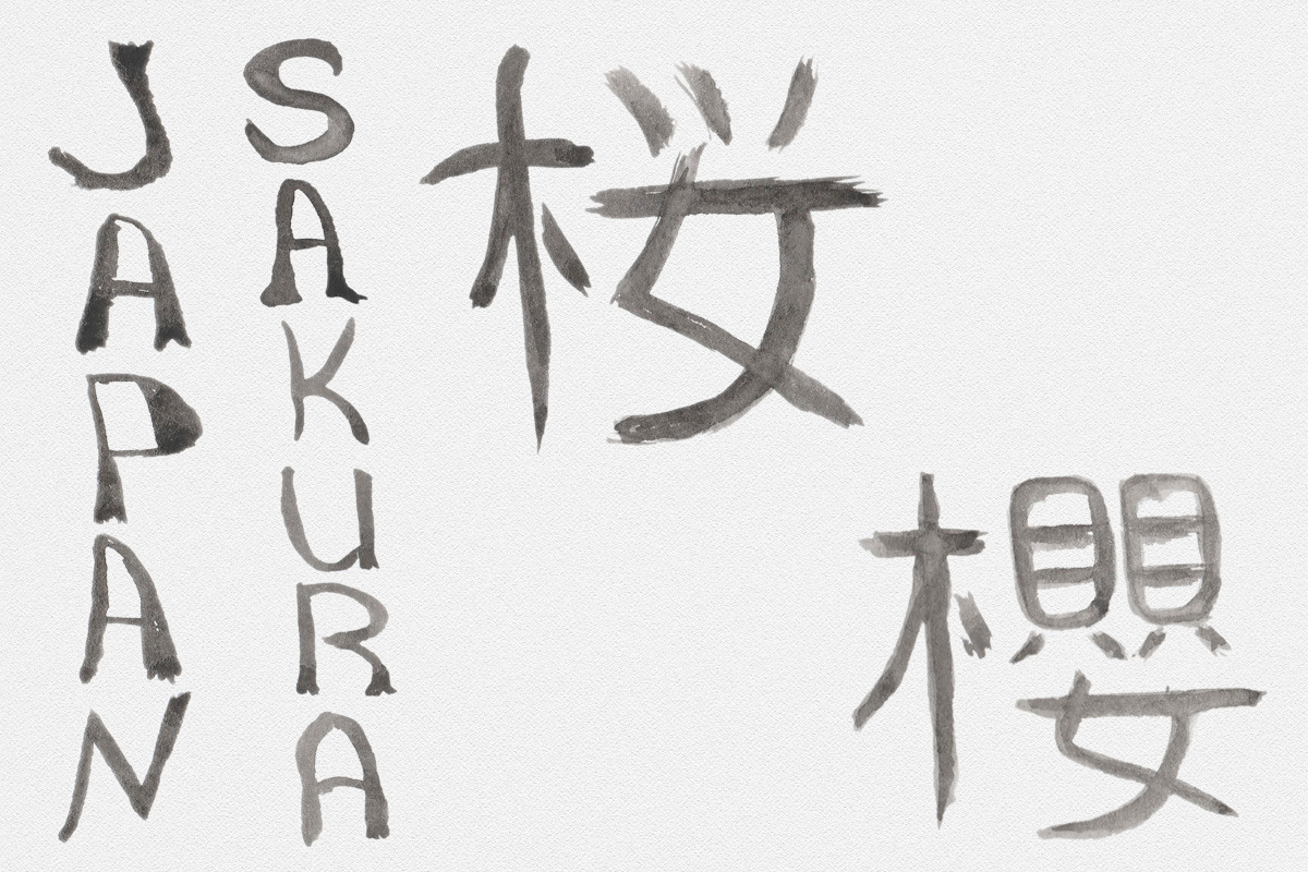 Sakura.  Japanese ink creator, an Illustration by GraphicHouse (Photo 7 of 10)