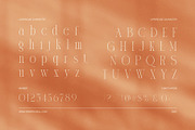Roverys Minimalist Serif Font, a Serif Font by Elegant Font (Thumbnail 7 of 8)
