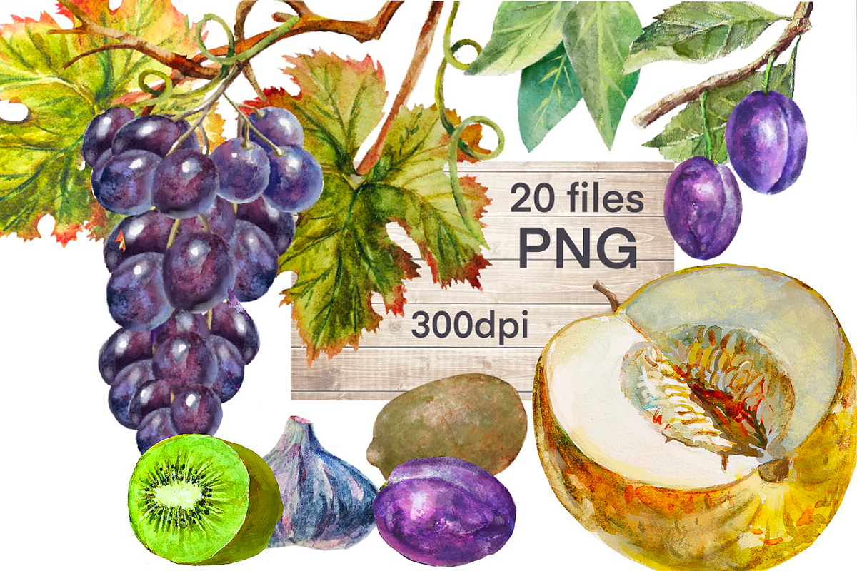 Fruits collection, watercolor set, a Food Illustration by AkvarelRiver (Photo 3 of 6)