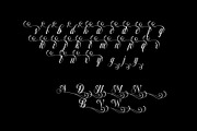 Dollarios - Calligraphy, a Script Font by INKSUN™ (Thumbnail 7 of 8)