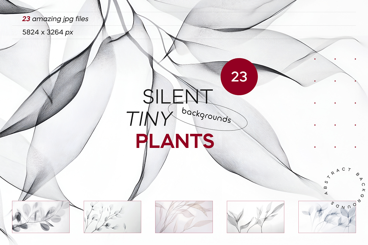 Silent Tiny Plants, a Nature Photo by Lumeno (Photo 1 of 4)
