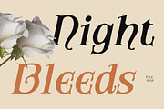 CS Amoret Drawn, a Serif Font by Craft Supply Co. (Thumbnail 3 of 8)