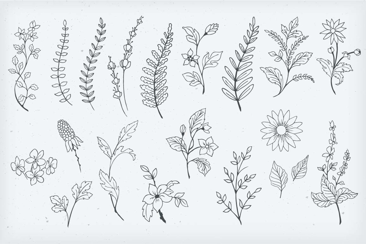 Botanical Decorative Elements, a Decorative Illustration by Solana (Photo 4 of 6)