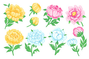 Peony flowers. Beautiful garden, an Object Illustration by YummyBuum