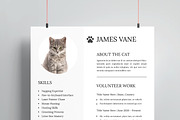 Cat Resume Template, a Resume Template by MightyDesign (Thumbnail 4 of 8)