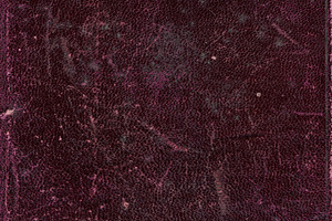 Leather cover texture, an Abstract Photo by YvY