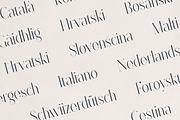Sorrelia – Elegant Display Serif, a Serif Font by Only Fonts (Thumbnail 6 of 11)