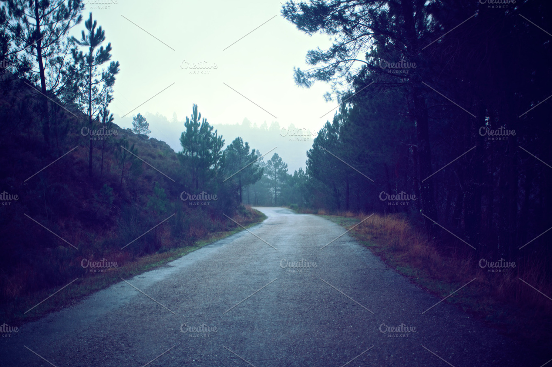 Road And Rain