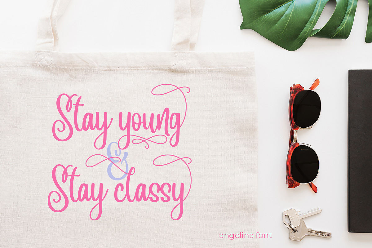 Angelina Script- Beautiful Handwritt, a Script Font by din-studio.com (Photo 7 of 11)