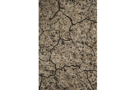 Dry cracked ground background, an Abstract Photo by yanadjana