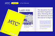 MTC Ciscela - Unique Serif Display, a Serif Font by Martype Co (Thumbnail 4 of 9)