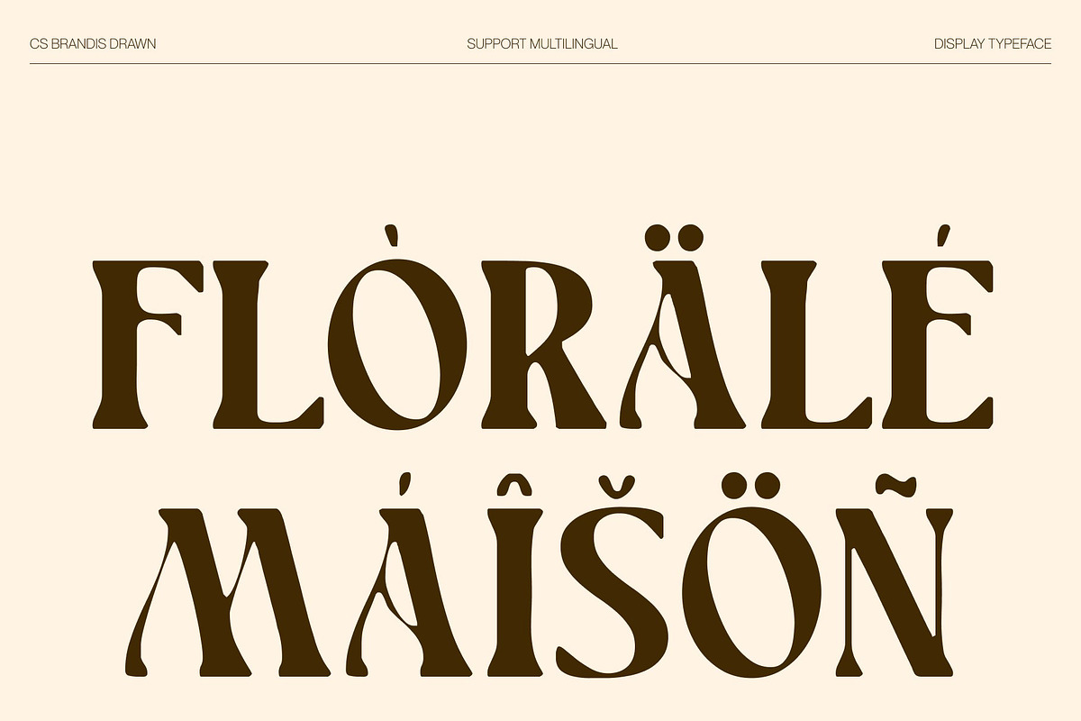 CS Brandis Drawn, a Serif Font by Craft Supply Co. (Photo 6 of 8)